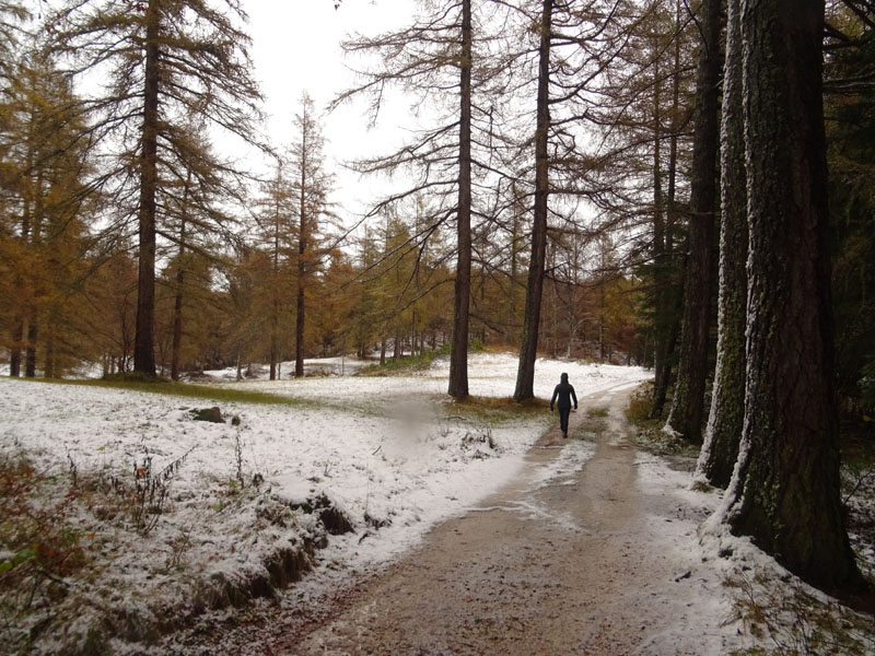 prime escursioni sulla neve....autunno  2019